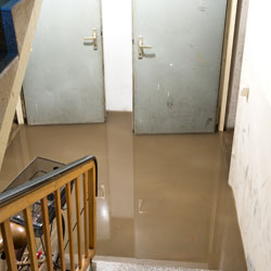  Flooded House